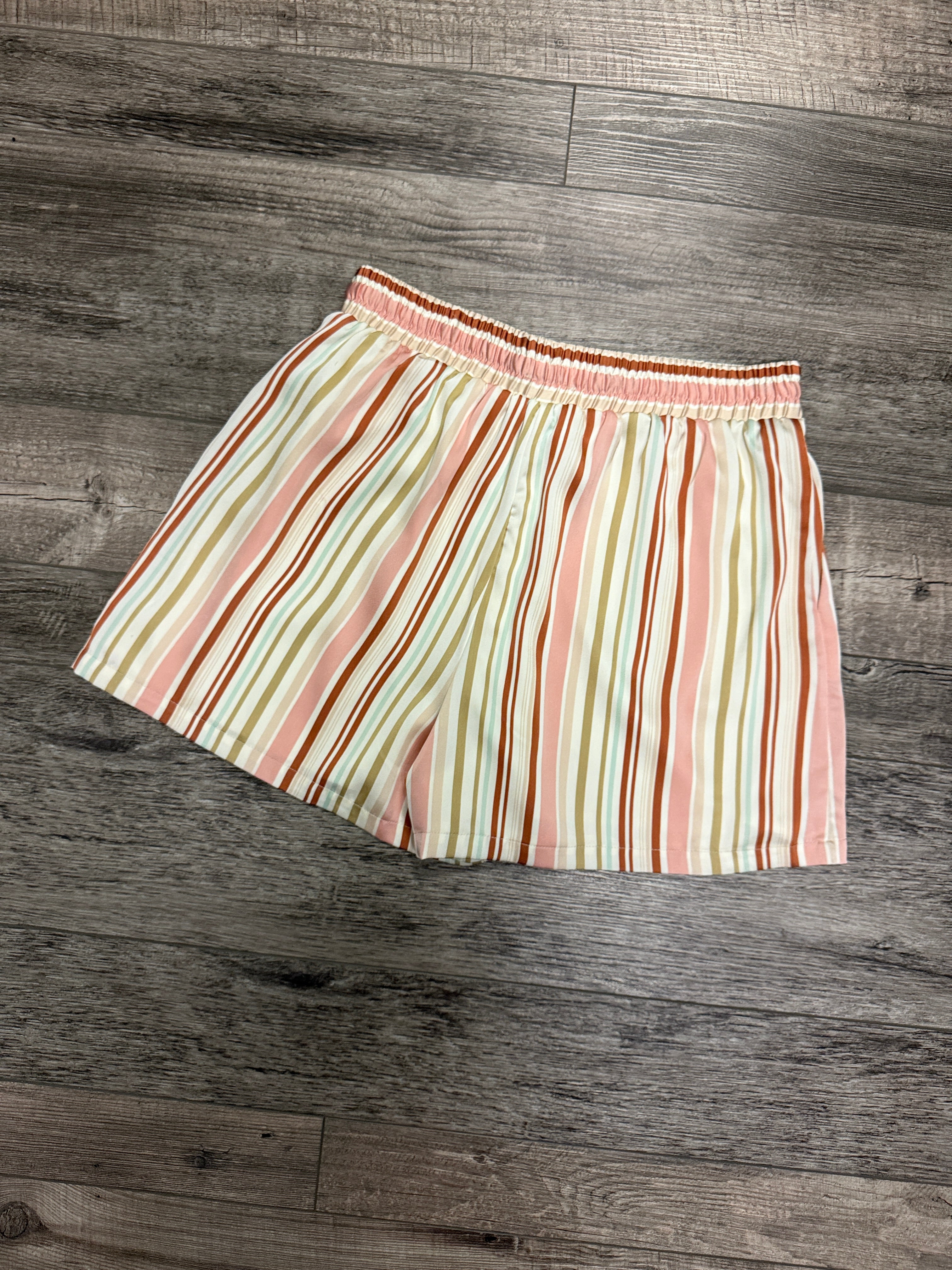 NWT SKIES ARE BLUE SATIN SHORTS