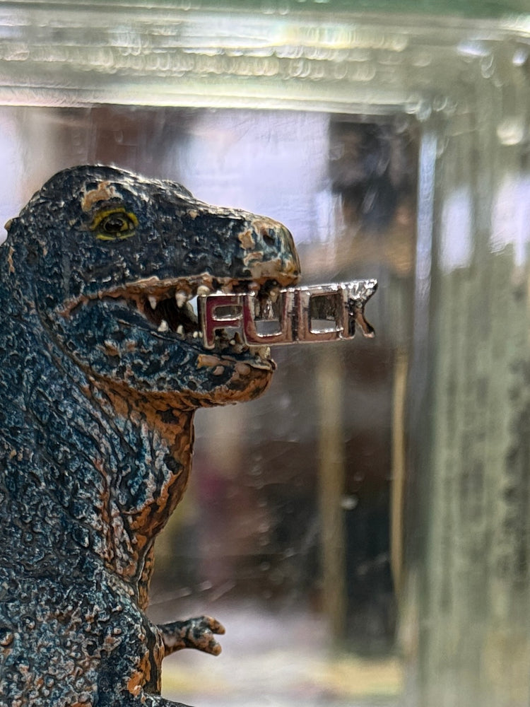 STATEMENT FUCK RINGS