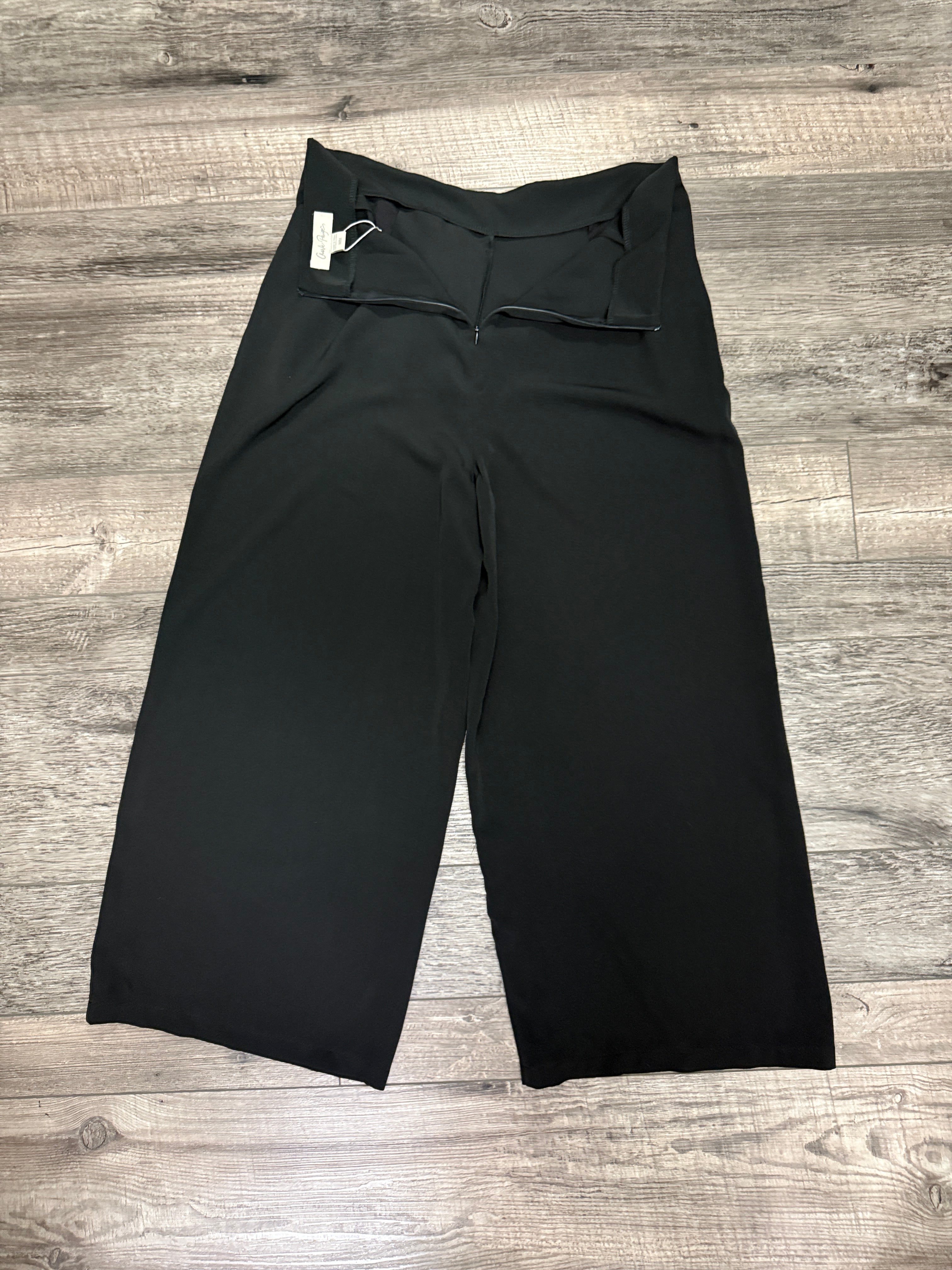 NWT CHARLIE PAIGE WIDE LEG PANT (org$55)