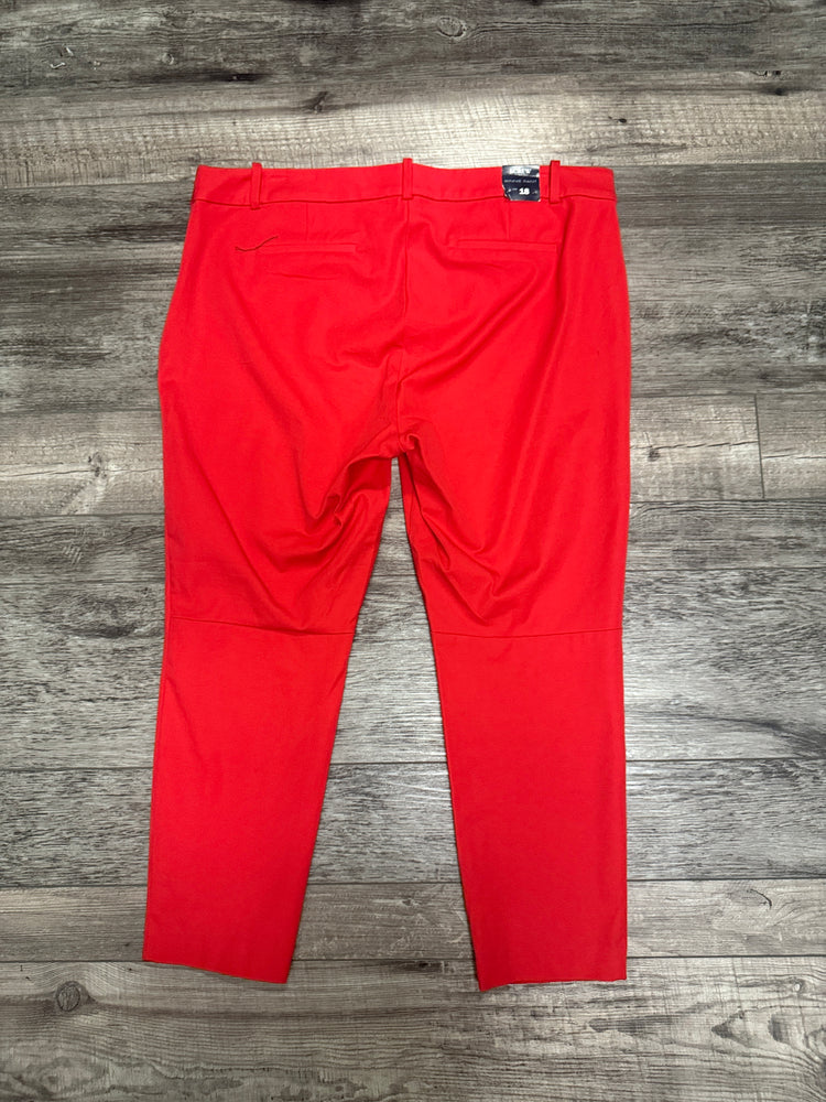 NWT J CREW WINNIE PANT