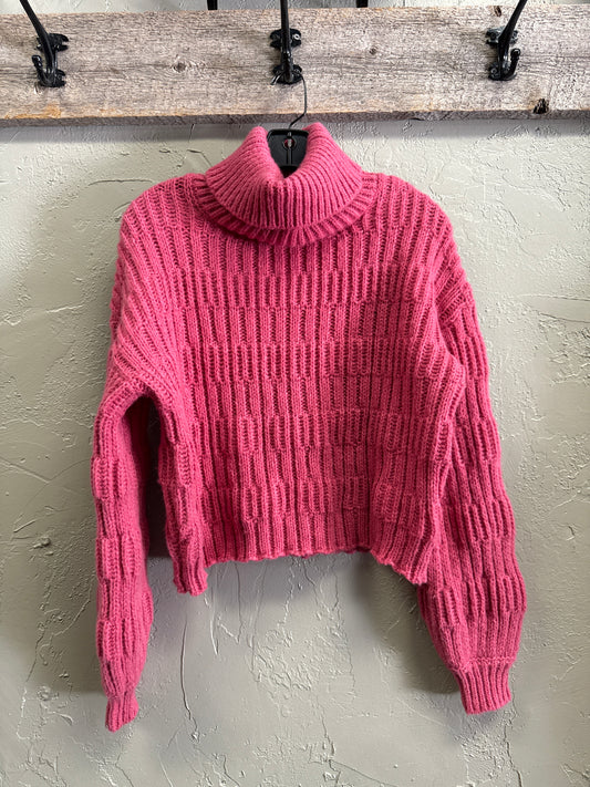 NWT NEW IN CROP SWEATER