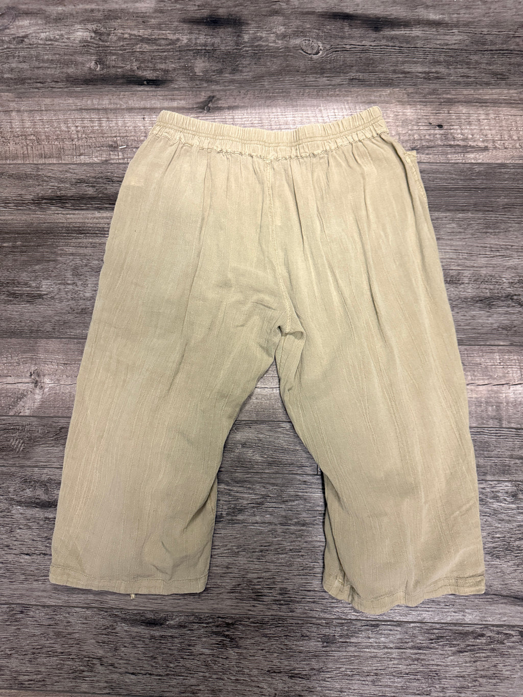 NWT Free People Ruched Pant (org$78)