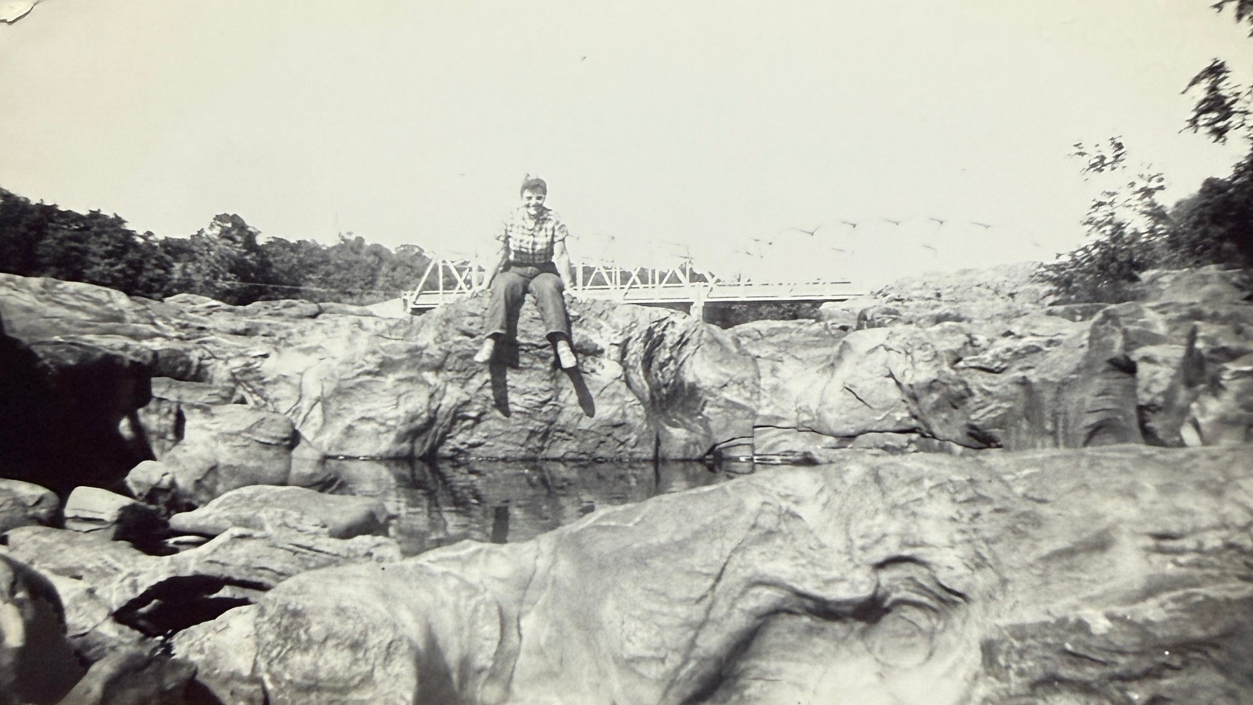 NWT J CREW HOUNDSTOOTH MINI (org$75)