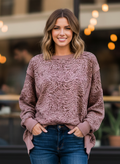 NWT VINYL ICONS TIGER-PRINT SWEATSHIRT