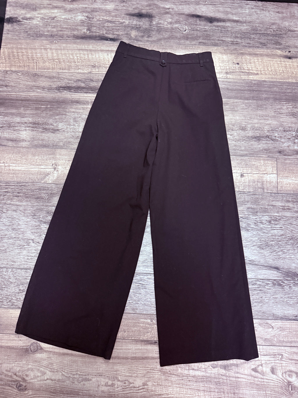 ZARA PLEATED WIDE LEG PANT