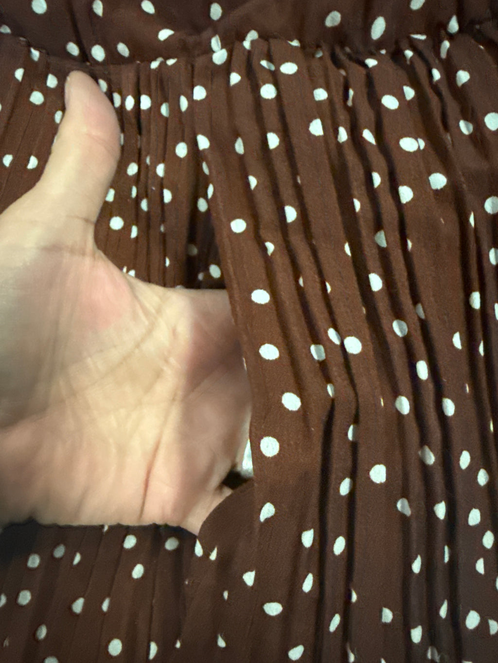 Exlura Polka Dot Pleated Skirt