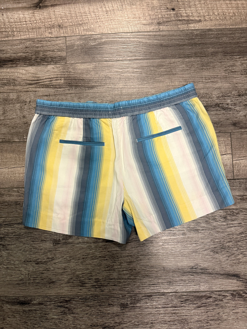 NWT Loft Drawstring Shorts (org$50)