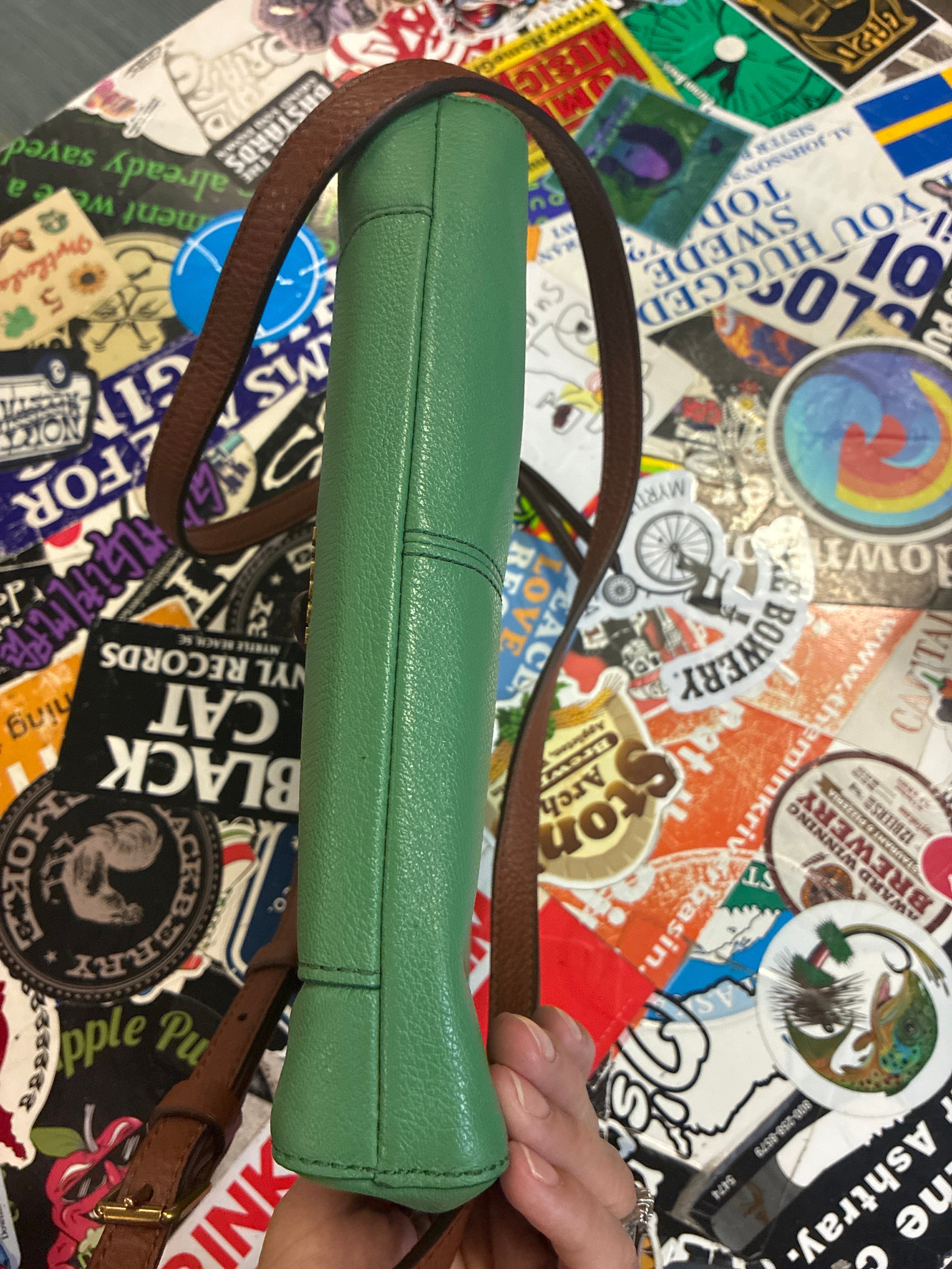 Fossil Gemma Crossbody Bag (org$128)